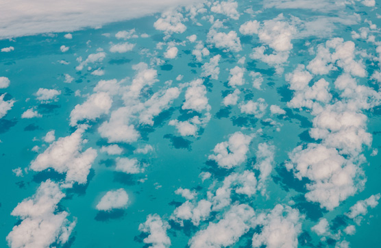 BG大游集团(中国)唯一官方网站