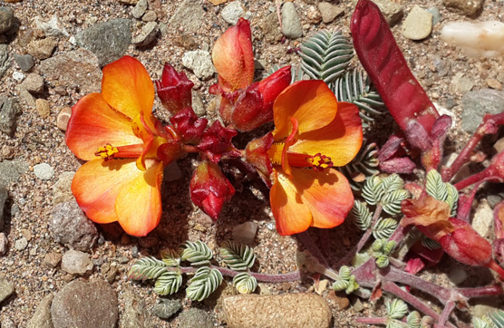 BG大游集团(中国)唯一官方网站