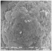 BG大游集团(中国)唯一官方网站