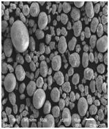 BG大游集团(中国)唯一官方网站