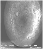 BG大游集团(中国)唯一官方网站