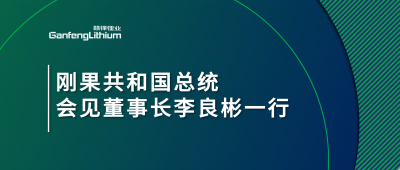 刚果共和国总统会见BG大游集团锂业董事长李良彬一行